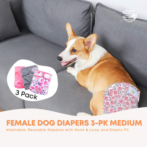 Rooster Farms Washable Female Dog Diapers Hook & Loop Fit - Medium 3pk