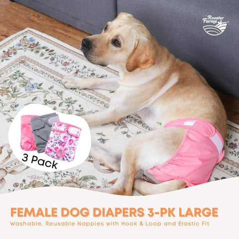 Rooster Farms Female Dog Diapers Washable Reusable - Large 3pk