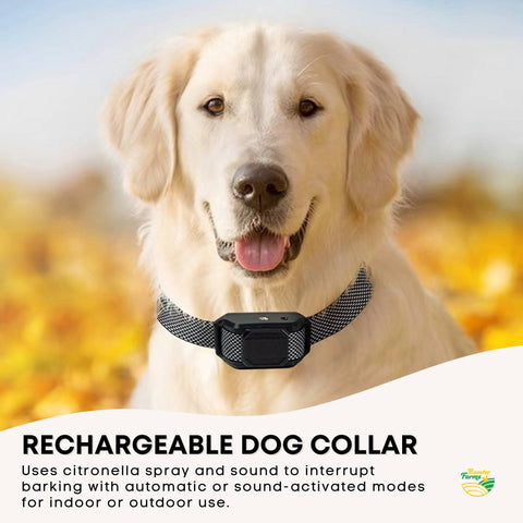 Rooster Farms Citronella Dog Bark Training Collar with Sound