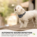 Rooster Farms Citronella Dog Bark Training Collar with Sound