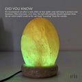 Premium Himalayan Pink Salt Lamp with Colour Changing LED - Egg Shape USB