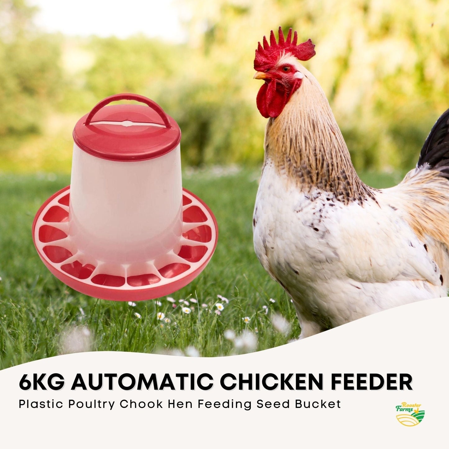 Rooster Farms 6kg Automatic Chicken Feeder - Continuous Flow, Segregated Design