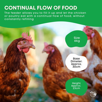 Rooster Farms 6kg Automatic Chicken Feeder - Continuous Flow, Segregated Design