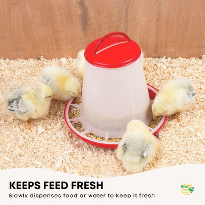 Rooster Farms 6kg Automatic Chicken Feeder - Continuous Flow, Segregated Design