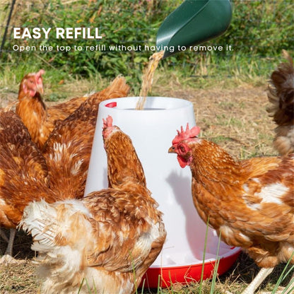 Rooster Farms 6kg Automatic Chicken Feeder - Continuous Flow, Segregated Design