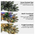 Christabelle 61cm Christmas Wreath Snowy Stamford Spruce with Coloured LED Lights Front Door Decoration Ornament - SuperSaverAU - view 4
