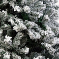 Christabelle Snow-Tipped Artificial Christmas Tree 2.1m 1200 Tips - SuperSaverAU - view 5
