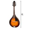 Karrera Traditional Sunburst Mandolin with Gig Bag and Strap