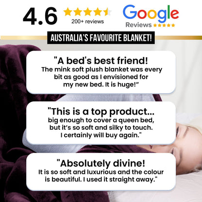 Laura Hill 800-GSM Mink Blanket Queen Size Double-Sided Soft Plush Bed Faux Throw Rug 220 X 240cm Heavy Sage