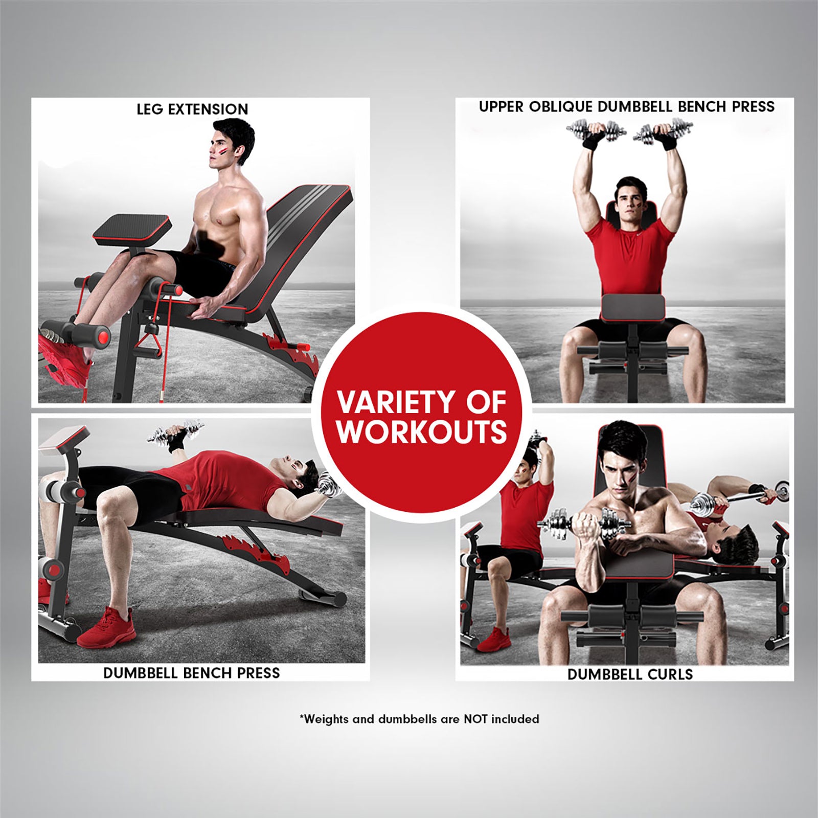 Powertrain Adjustable FID Home Gym Bench with Preacher Curl Pad - 150kg Load - SuperSaverAU - view 4