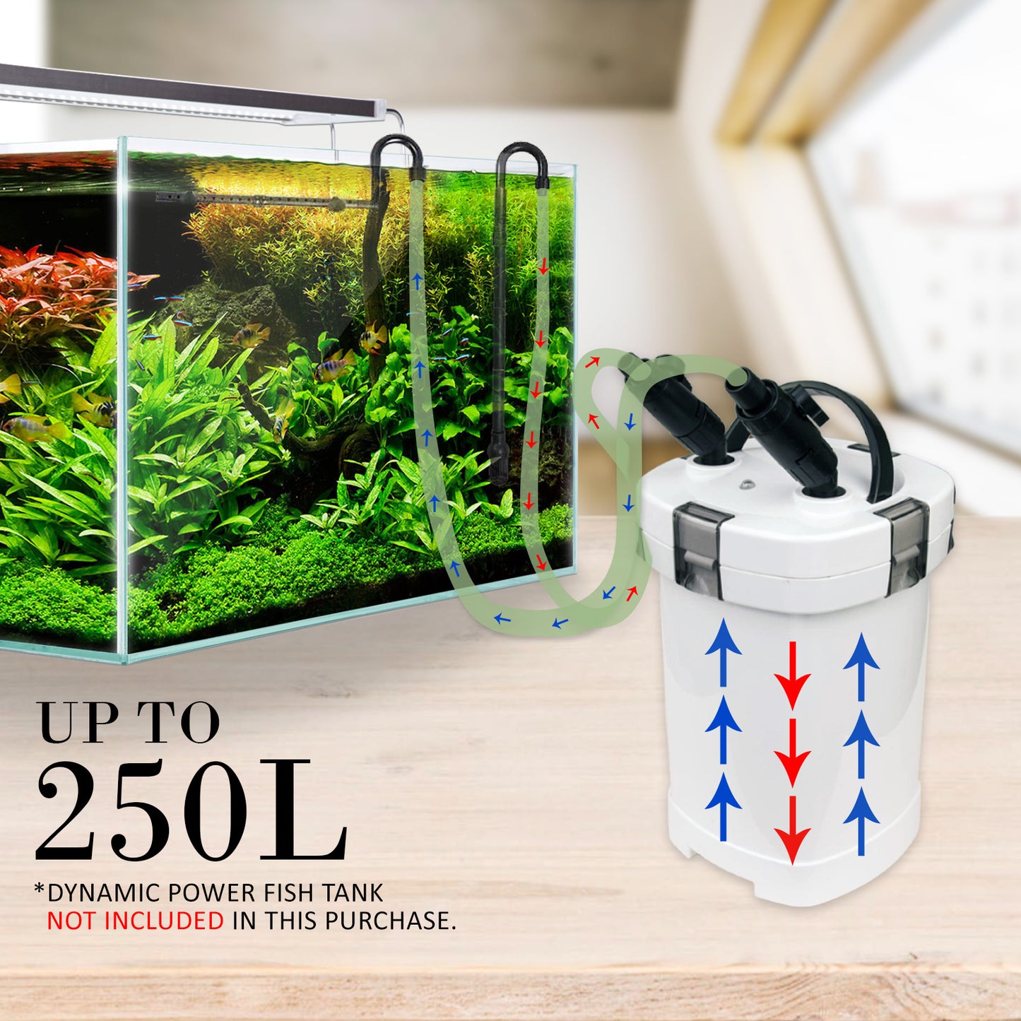 Dynamic Power 1000L/H Aquarium External Canister Filter, 14W, Easy Maintenance