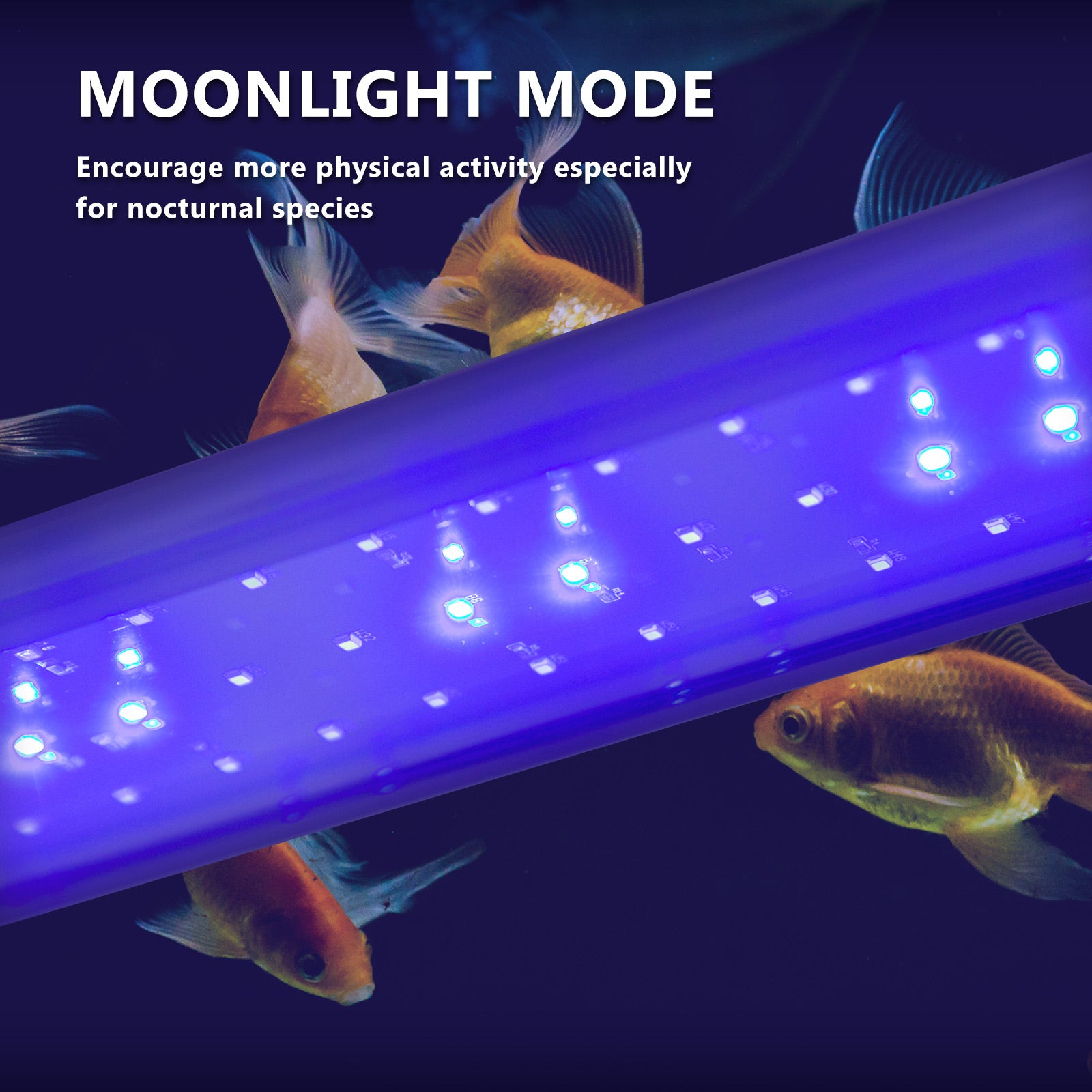 Dynamic Power 11W Aquarium LED Light 50-70cm, Blue/White, Energy Efficient - SuperSaverAU - view 5