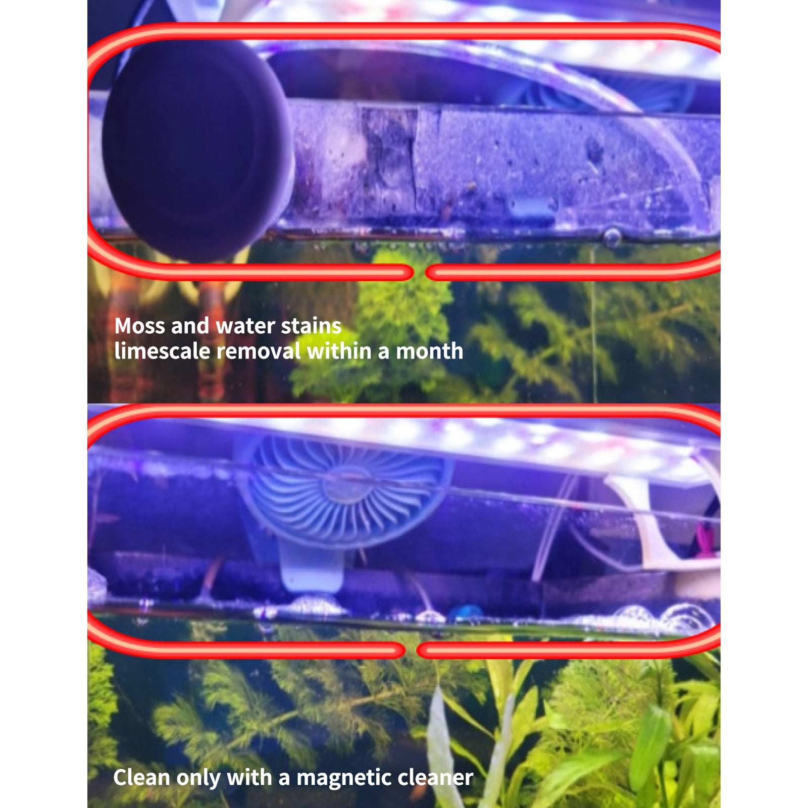 Minfactory Fish Tank Corner Moss Magnet Scraper 3.5cm x 5cm, Neodymium Magnet, EVA Handle - SuperSaverAU - view 8