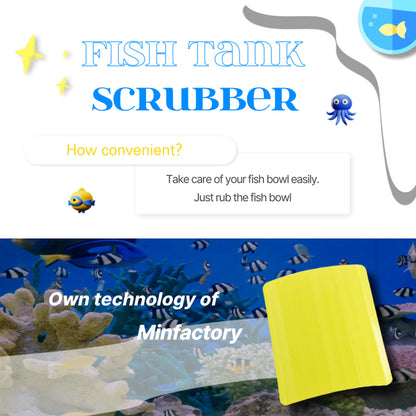 Minfactory 4X Fish Tank Moss Scrubber, 11.5cm x 8.5cm, Reusable Algae Cleaner