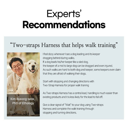 Banhamsisun Dog Harness Adjustable No Pull Double-Lined Straps L Sweet Green