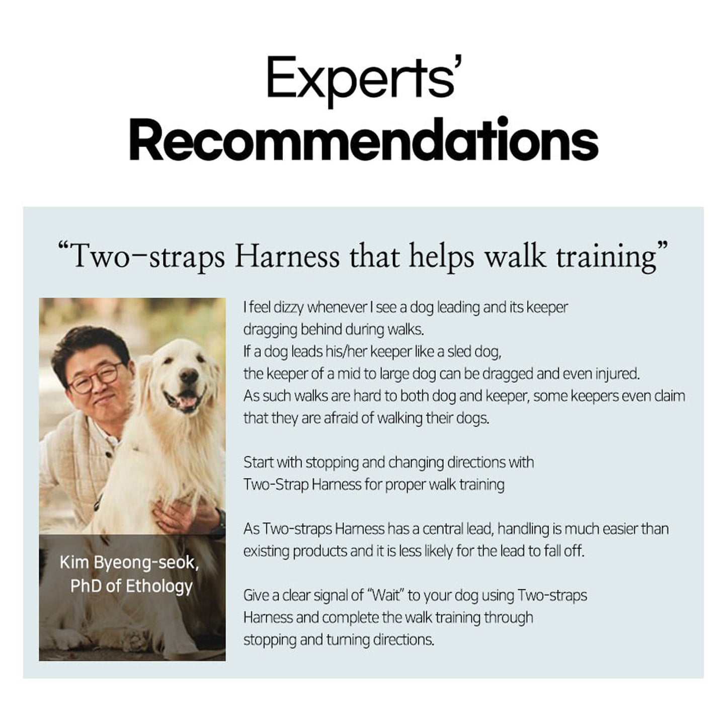 Banhamsisun Dog Harness Adjustable No Pull Double-Lined Straps M Neon Carol-Pink