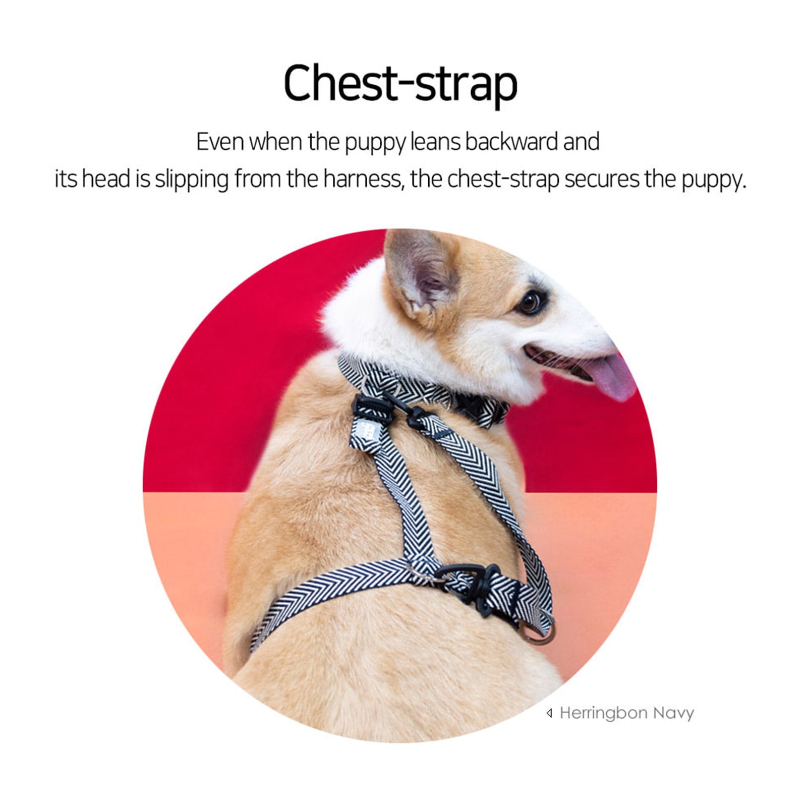Banhamsisun Dog Harness Adjustable No Pull Double-Lined Straps M Sweet Green - SuperSaverAU - view 3