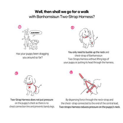 Banhamsisun Dog Harness Adjustable No Pull Double-Lined Straps M Sweet Green