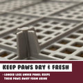 PS KOREA Dog Potty Tray 52.6cm x 43cm x 15cm - Leak-Proof, Raised Walls, Wine - SuperSaverAU - view 6