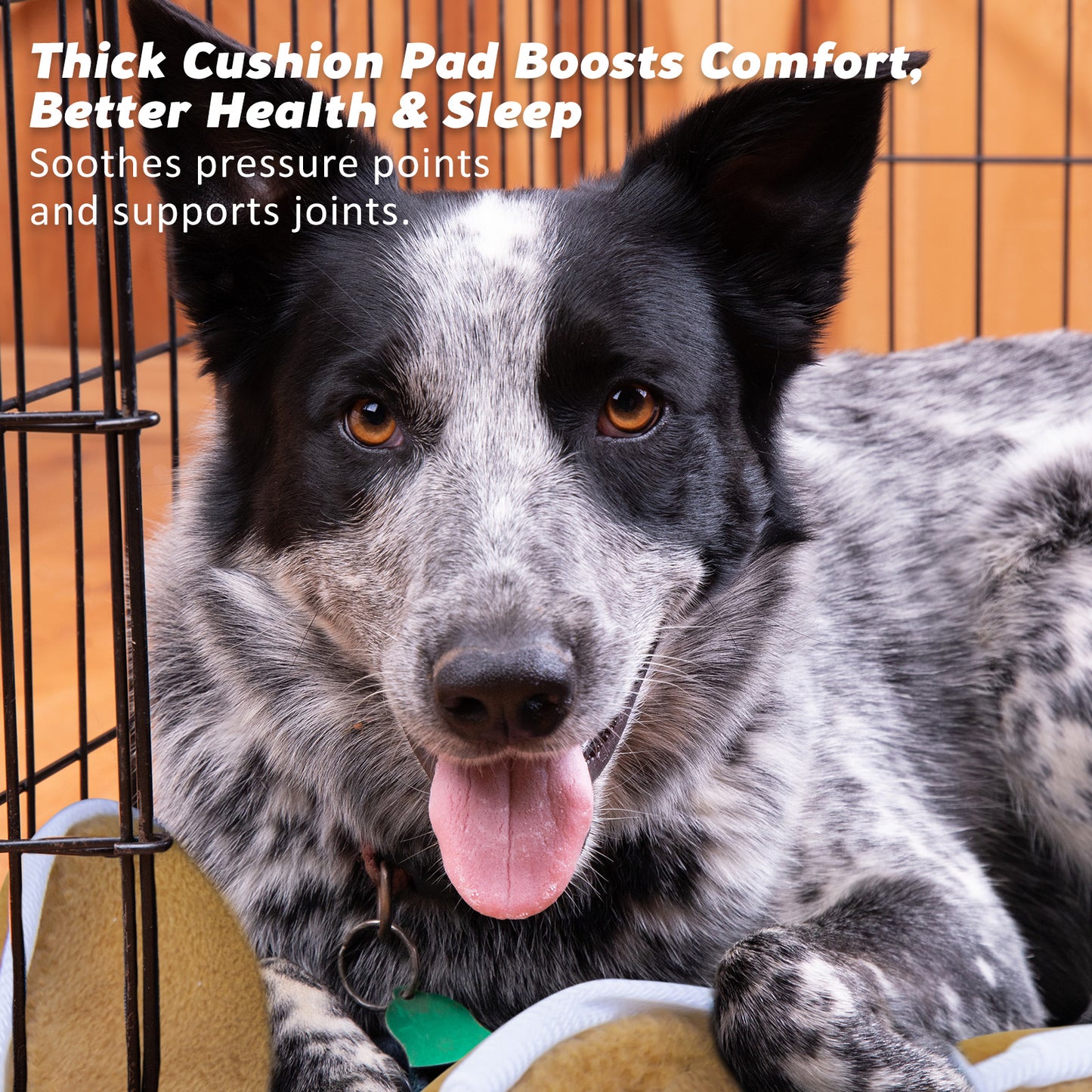 Paw Mate 42in Pet Cushion Mat for Dogs & Cats - Beige, Soft & Washable