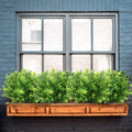 Artificial Eucalyptus Plants - 2 Pack, 34x18cm, Durable, Vivid Green Decor - SuperSaverAU - view 4