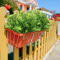 Artificial Eucalyptus Plants - 2 Pack, 34x18cm, Durable, Vivid Green Decor - SuperSaverAU - view 5