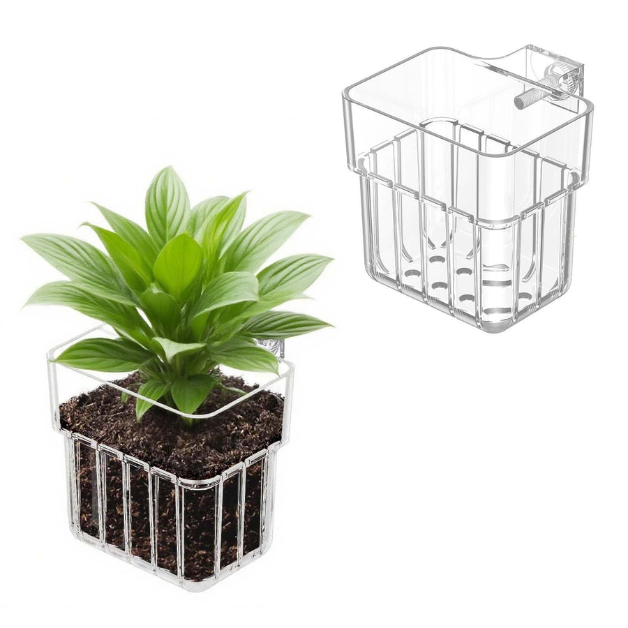 2pc Aquarium Plant Holder - Clear Hanging Planters, 8x8x5.7cm, Hooks Included - SuperSaverAU - view 1