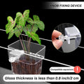 2pc Aquarium Plant Holder - Clear Hanging Planters, 8x8x5.7cm, Hooks Included - SuperSaverAU - view 4