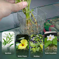 2pc Aquarium Plant Holder - Clear Hanging Planters, 8x8x5.7cm, Hooks Included - SuperSaverAU - view 6
