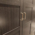 Premium 96mm Polished Gold Cabinet Handle with Screws