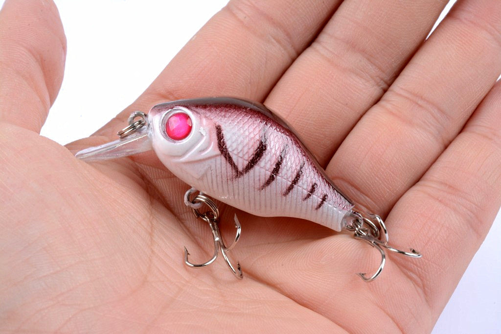 Durable ABS 5.5cm Popper Crank Bait Fishing Lure 5x Saltwater Surface Tackle - SuperSaverAU - view 3