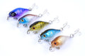 Durable ABS 4.3cm Popper Crank Bait Fishing Lure 5 Colors for Saltwater/Freshwater - SuperSaverAU - view 3