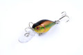 6x 6cm Durable ABS Hard Plastic Popper Crank Bait Fishing Lure - Saltwater/Freshwater - SuperSaverAU - view 4