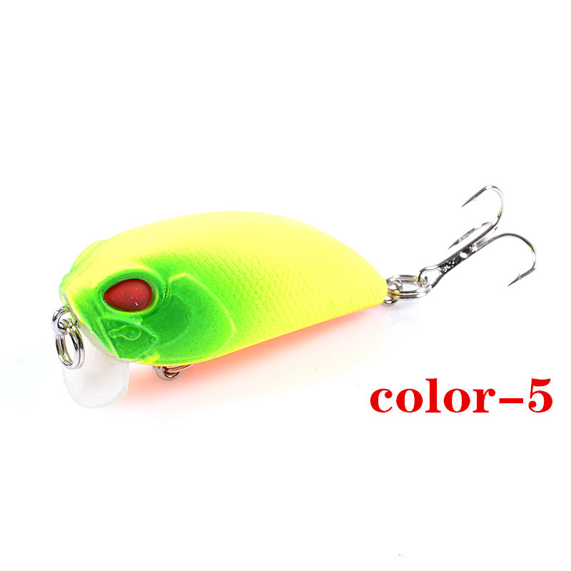 6x Popper Crank Fishing Lure 5.1cm 7.15g for Saltwater & Freshwater Tackle - SuperSaverAU - view 4