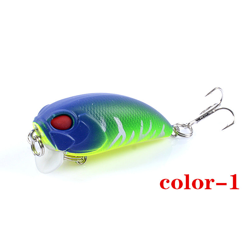 6x Popper Crank Fishing Lure 5.1cm 7.15g for Saltwater & Freshwater Tackle - SuperSaverAU - view 6