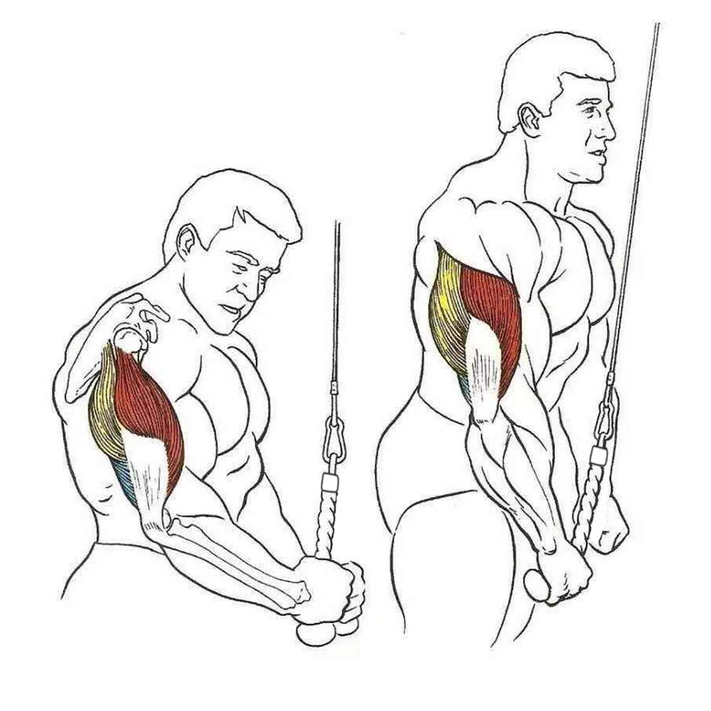 Single Grip Tricep PullDown Rope Cable Attachment Pull Down Rope Tricep Rope Pully - SuperSaverAU - view 5