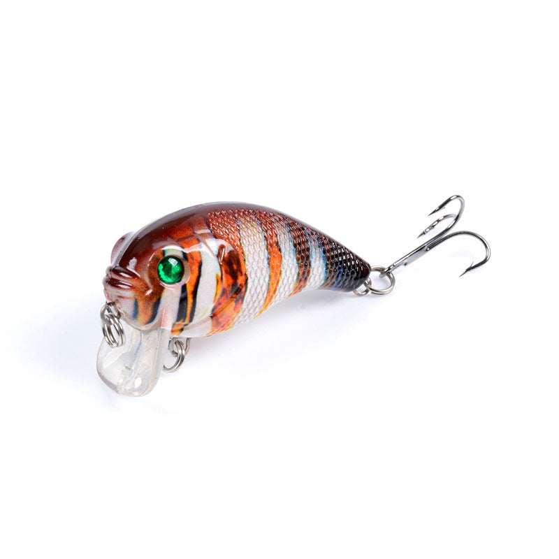 6x Popper Fishing Lures 5cm, Durable ABS, Sharp Hooks, Fresh/Saltwater - SuperSaverAU - view 6