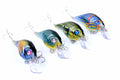 Durable ABS 7.5cm Popper Crank Bait Fishing Lure 4x Saltwater Surface Tackle - SuperSaverAU - view 3