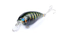 7cm Popper Crank Bait Fishing Lure 5x Pack Saltwater Freshwater Tackle - SuperSaverAU - view 5