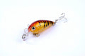 Durable ABS 4.5cm Popper Crank Bait Fishing Lure 9 Colors Saltwater/Freshwater - SuperSaverAU - view 4