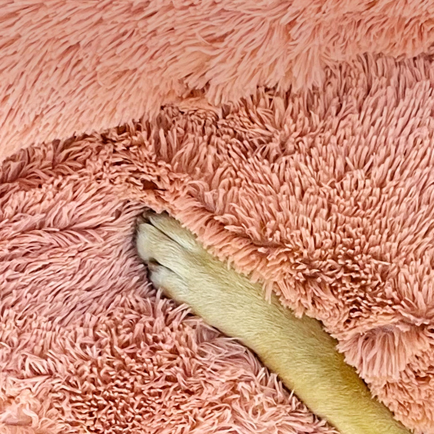 Pet Dog Bed Pink M 70cm Plush Polypropylene Cotton Non-Toxic Comfortable Nest