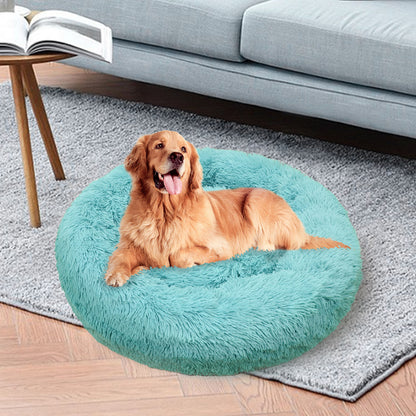 Pet Bed XL 100x100cm Teal Polyester Non-Toxic Plush Filling Non-Slip Base