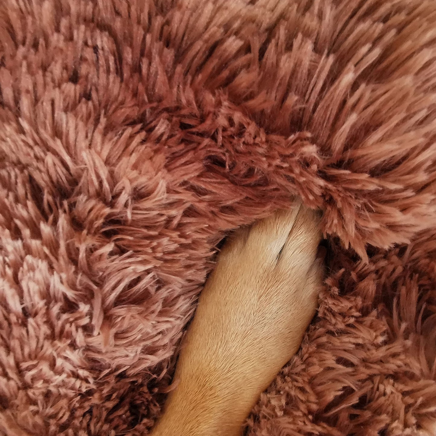 Pawfriends Round Pet Bed 100cm - Soft Plush, Washable Zipper Cover, Non-Toxic