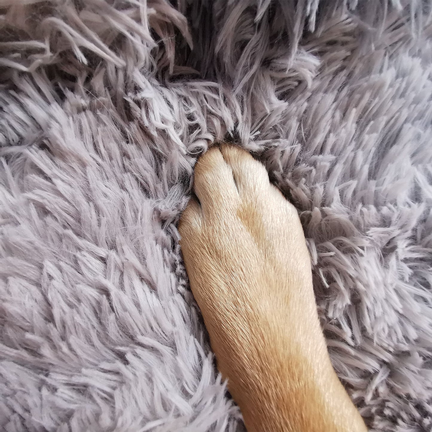 Pawfriends Pet Bed Round 90cm Soft Polyester Cushion for Dogs & Cats