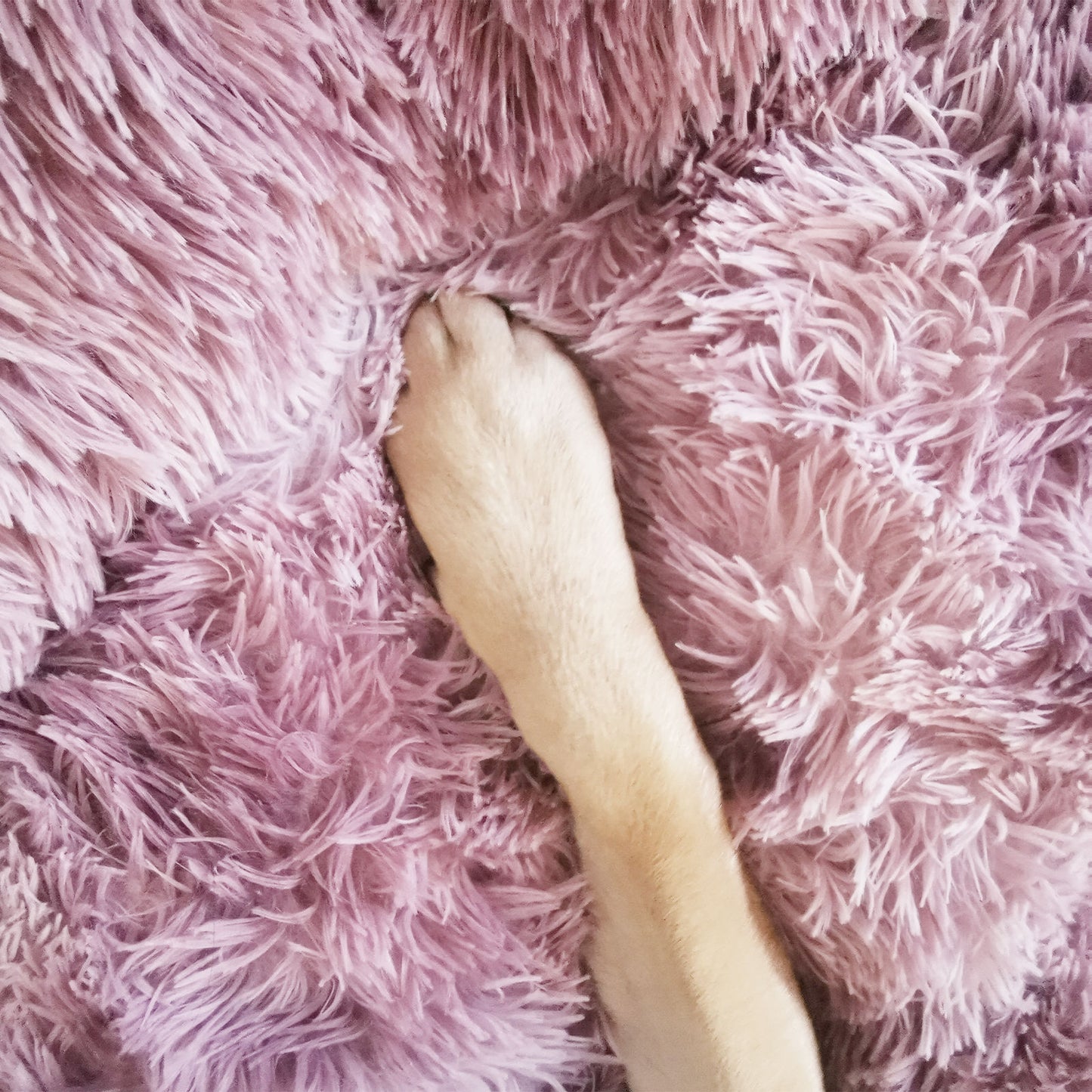 Pawfriends Pet Bed Round XL 120cm Soft Plush Non-Toxic Calming Nest