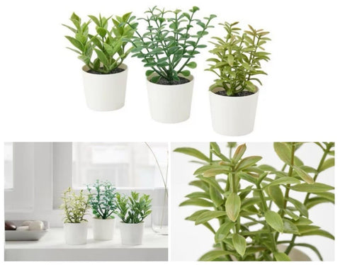 Premium Artificial Herb Potted Plants in White Pots - 3 Pack