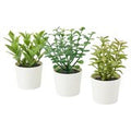 Premium Artificial Herb Potted Plants in White Pots - 3 Pack