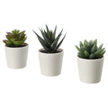 3 Pack of Artificial Succulent Plants in 6cm White Pots - No Watering Needed - SuperSaverAU - view 1
