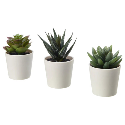 3 Pack of Artificial Succulent Plants in 6cm White Pots - No Watering Needed