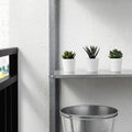 3 Pack of Artificial Succulent Plants in 6cm White Pots - No Watering Needed - SuperSaverAU - view 2